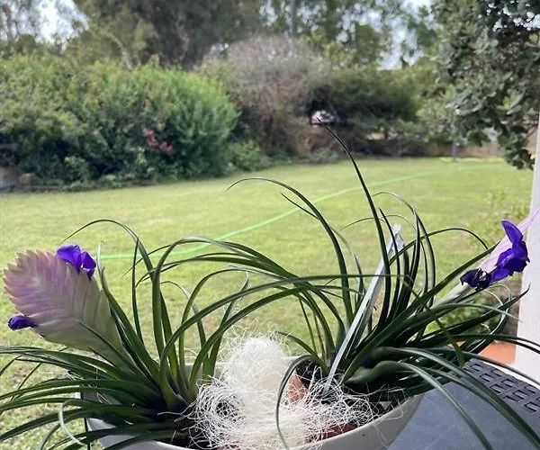 Aurice - * Villasimius